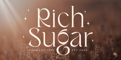 Rich Sugar SS Font Poster 1