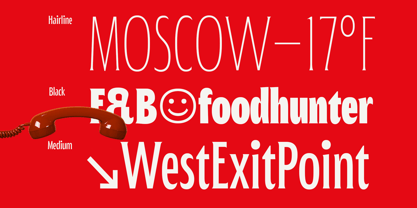 Patimura Condensed Font Poster 9