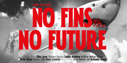 Patimura Condensed Font Poster 15