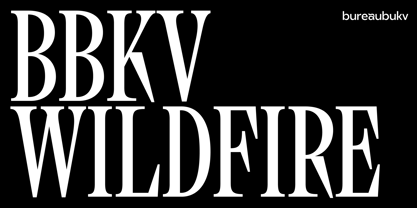 BBKV Wildfire Font Poster 1