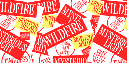 BBKV Wildfire Font Poster 3