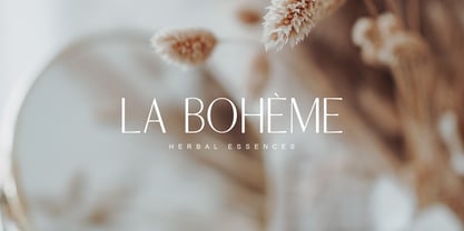 Artisa Font Poster 7