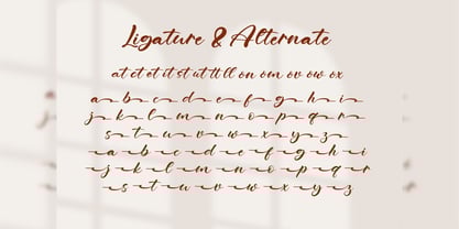 Phillows Font Poster 4