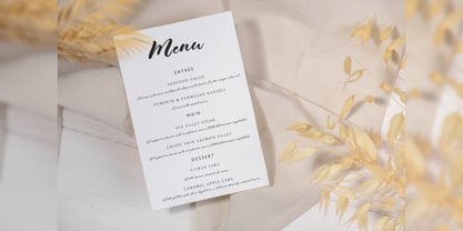 Phillows Font Poster 9