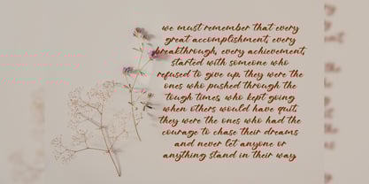 Phillows Font Poster 13