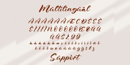 Phillows Font Poster 3