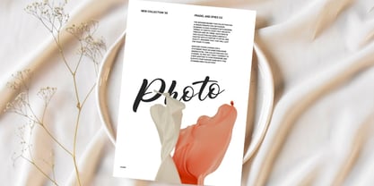 Phillows Font Poster 10