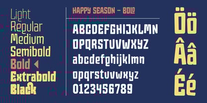 Happy Season Font Poster 8