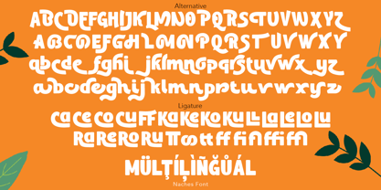 Naches Font Poster 9
