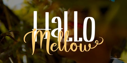 Sterling Behavior Font Poster 6