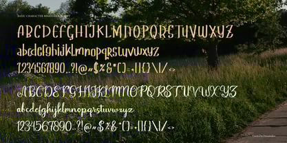 Sterling Behavior Font Poster 11