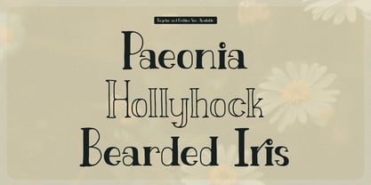Fiore Dilona Outline Font Poster 5