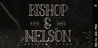 Fiore Dilona Outline Font Poster 4