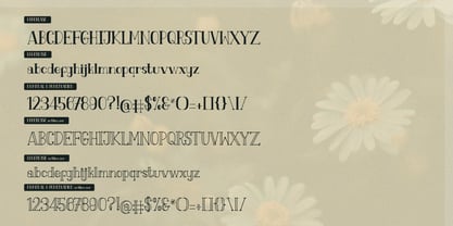 Fiore Dilona Outline Font Poster 13