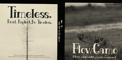 Fiore Dilona Outline Font Poster 7