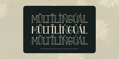 Fiore Dilona Outline Font Poster 14