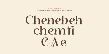 Chic Avenue Font Poster 15