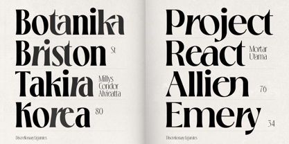 Loubrisa Font Poster 5
