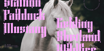 Silakins Font Poster 9