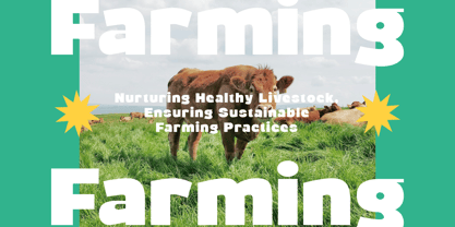 Wraps Festive Round Font Poster 3