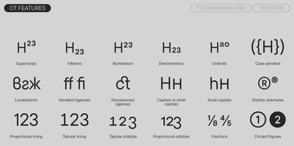 TT Commons Pro Font Poster 10