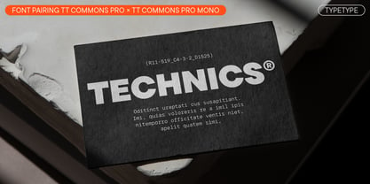 TT Commons Pro Font Poster 9