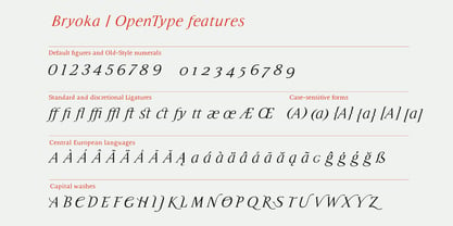 Bryoka Font Poster 5