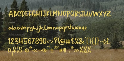 Serella van Houten Font Poster 13