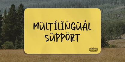 Serella van Houten Font Poster 14