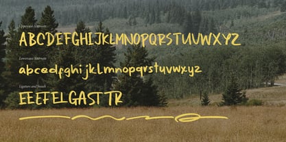 Serella van Houten Font Poster 15