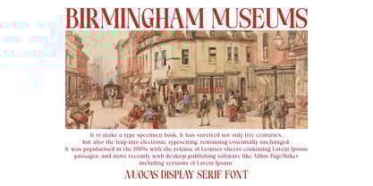 Muocas Display Serif Font Poster 7