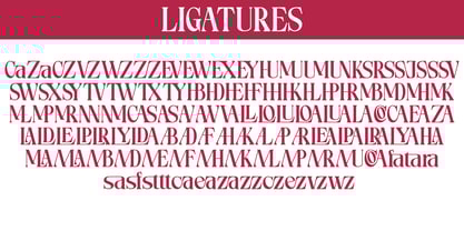 Muocas Display Serif Font Poster 6