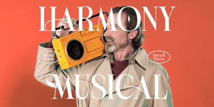 Michela Azorha Font Poster 11