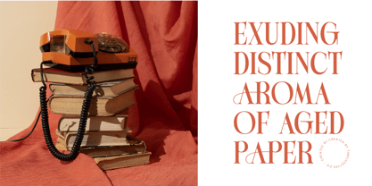 Michela Azorha Font Poster 4