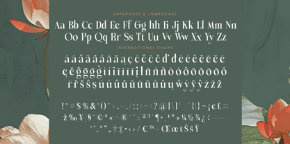 Michela Azorha Font Poster 15