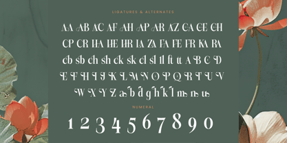 Michela Azorha Font Poster 14
