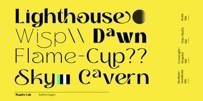 Thanks Lab Font Poster 5