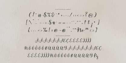 Siollars Font Poster 11