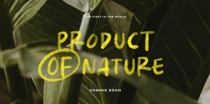 Vibrant Spark Font Poster 3