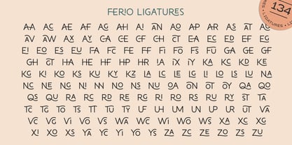 Ferio Font Poster 14