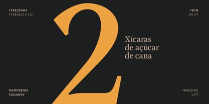 Terezinha Font Poster 4