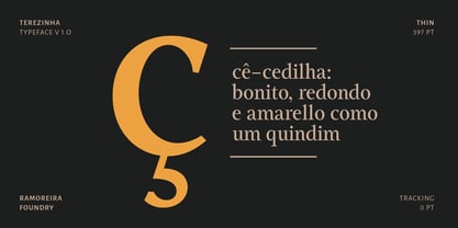 Terezinha Font Poster 5