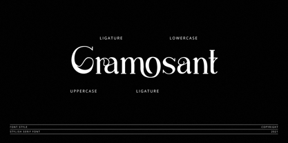 Rugilo Font Poster 8