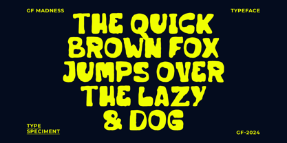Groovy Madness Font Poster 2