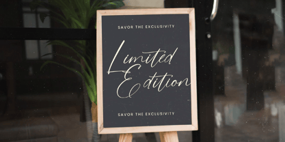 Stylish Aesthetic Font Poster 9