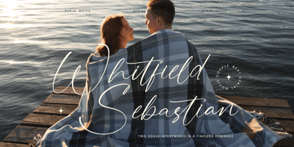 Stylish Aesthetic Font Poster 6