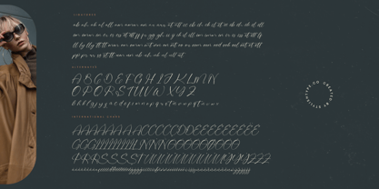 Stylish Aesthetic Font Poster 15