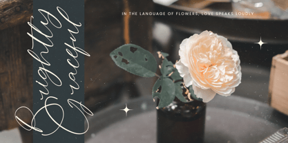 Stylish Aesthetic Font Poster 3