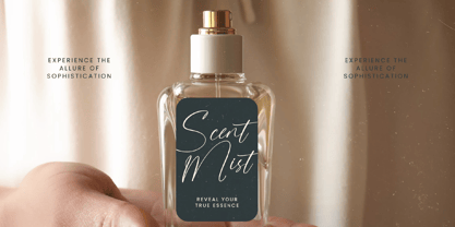 Stylish Aesthetic Font Poster 12