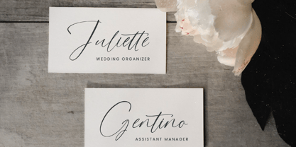 Stylish Aesthetic Font Poster 5